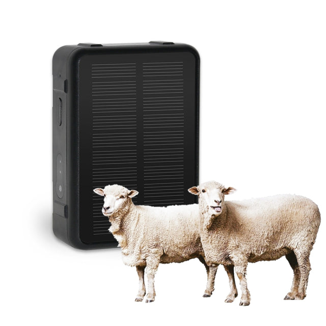 V44 Solar Energy Water-resistant Cattle and Sheep GPS Tracker