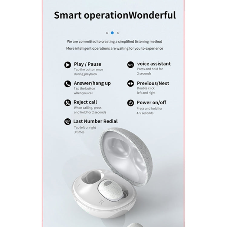 Calante T2S 5D Sound Effect Bluetooth 5.0 Wireless Bluetooth Earphone with Magnetic Charging Box, Support Call & Siri(Black) - Bluetooth Earphone by Galante | Online Shopping South Africa | PMC TechLife | Buy Now Pay Later Mobicred