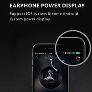 F910 Bluetooth 5.0 Hanging Ear Style Dual Mic Noise Cancelling Bluetooth Earphone(Black Blue)