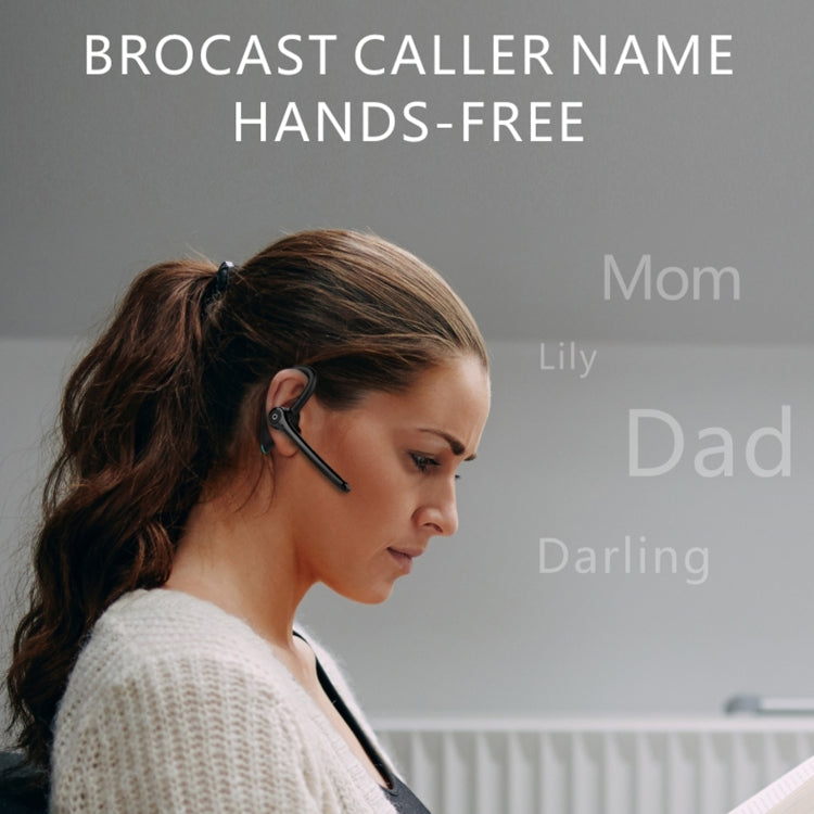 F910 Bluetooth 5.0 Hanging Ear Style Dual Mic Noise Cancelling Bluetooth Earphone(Black) - Bluetooth Earphone by PMC TechLife | Online Shopping South Africa | PMC TechLife