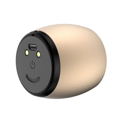 SARDiNE F1 Aluminium Alloy Stereo Wireless Bluetooth Speaker with Charging Dock, Support Hands-free(Gold) - free shipping - PMC Jewellery - Order now!