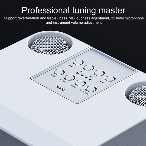 YS-203 Bluetooth Karaoke Speaker Wireless Microphone(Silver)