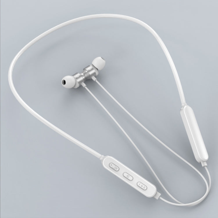 Bluetooth 5.1 Round Wire Neck-mounted Bluetooth Sports Earphone with Magnetic Function(White) - Neck-mounted Earphone by PMC TechLife | Online Shopping South Africa | PMC TechLife