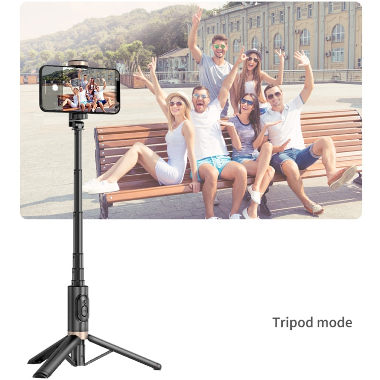 Q12 Hidden Design Reinforced Bluetooth Remote Control Tripod Selfie Stick (Black) - Selfie Light by PMC TechLife | Online Shopping South Africa | PMC TechLife | Buy Now Pay Later Mobicred