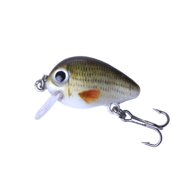 HENGJIA 5 PCS 2.7cm/1.5g Luya Rock Fishing Lures Bait Bionic Kit with Plastic Box - Fishing Lures by HENGJIA | Online Shopping South Africa | PMC TechLife | Buy Now Pay Later Mobicred