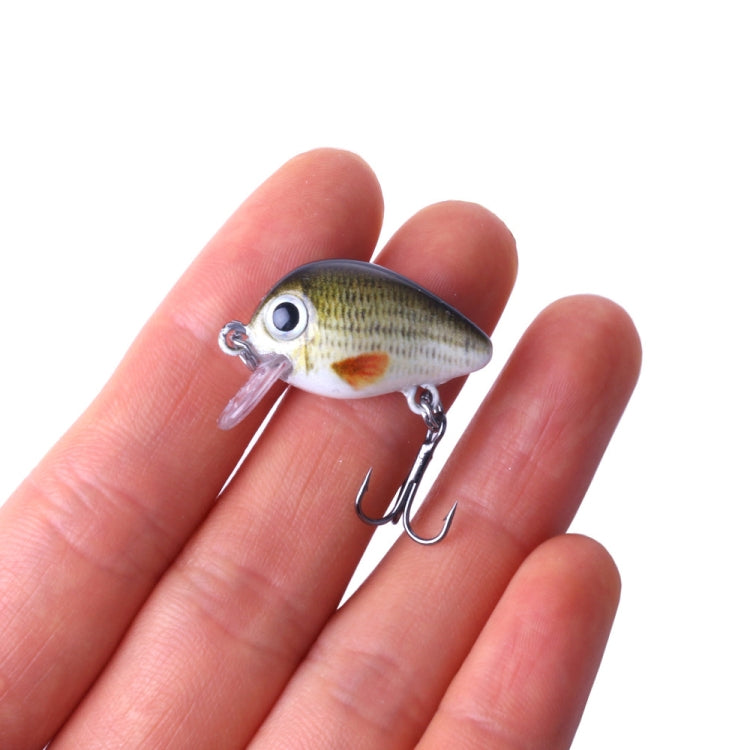 HENGJIA 5 PCS 2.7cm/1.5g Luya Rock Fishing Lures Bait Bionic Kit with Plastic Box - Fishing Lures by HENGJIA | Online Shopping South Africa | PMC TechLife | Buy Now Pay Later Mobicred