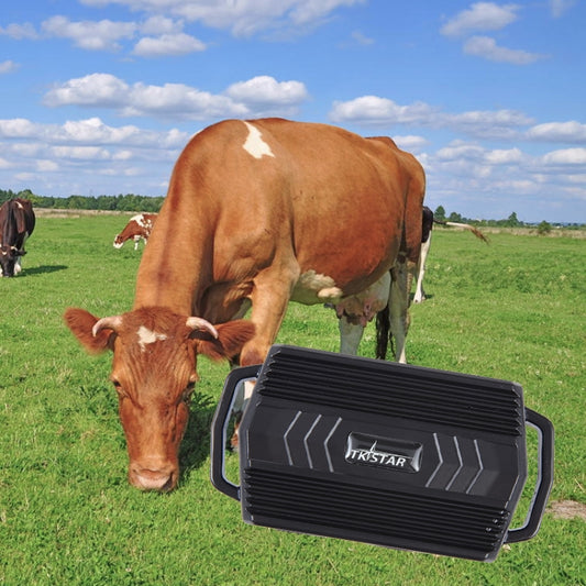 TKSTAR TK935 3000mAh GPS Pet Livestock Car Tracker IP65 Level Waterproof Locator(Black) - Pet Tracker by PMC Jewellery | Online Shopping South Africa | PMC Jewellery | Buy Now Pay Later Mobicred