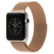 S-AW-1456M.jpg@9e047b6e51ee2fb84a568a4cdeacc731