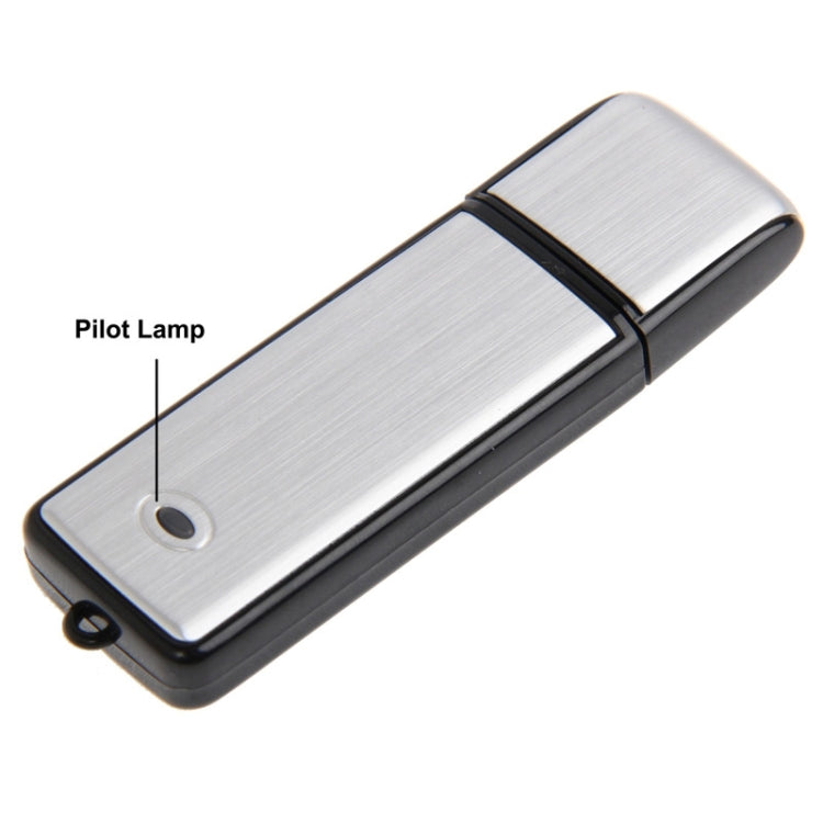 USB Voice Recorder + 8GB USB Flash Disk(Black) - free shipping - PMC Jewellery - Order now!