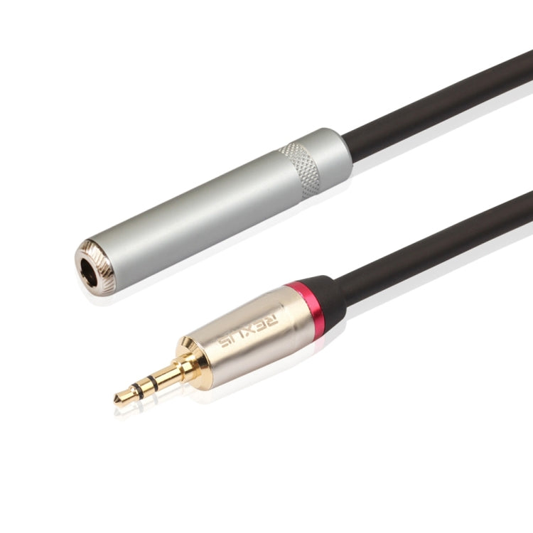 REXLIS TC128MF 3.5mm Male to 6.5mm Female Audio Adapter Cable, Length: 30cm - Audio Adapter by REXLIS | Online Shopping South Africa | PMC Jewellery | Buy Now Pay Later Mobicred