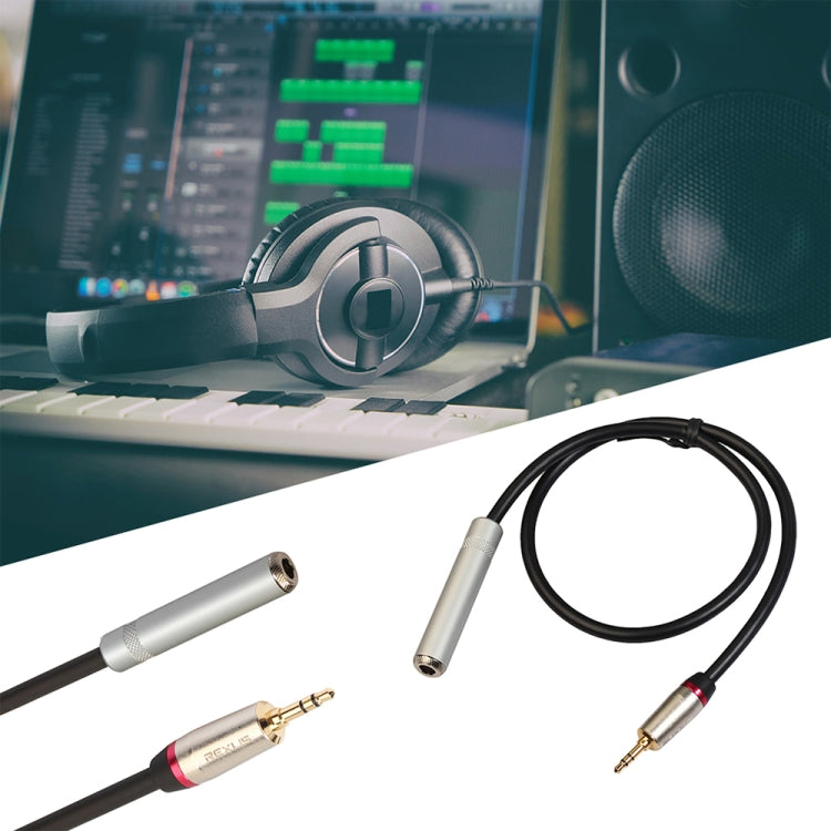 REXLIS TC128MF 3.5mm Male to 6.5mm Female Audio Adapter Cable, Length: 30cm - Audio Adapter by REXLIS | Online Shopping South Africa | PMC Jewellery | Buy Now Pay Later Mobicred