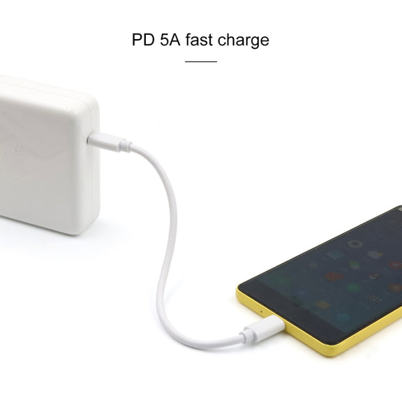 PD 5A USB-C / Type-C Male to USB-C / Type-C Male Fast Charging Cable, Cable Length: 2m (White)