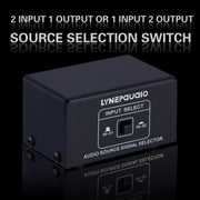 B101 2 In 1 Out (1 In 2 Out) Audio Source Signal Selection Switcher Computer Speaker  RCA Lossless Audio Source Switcher
