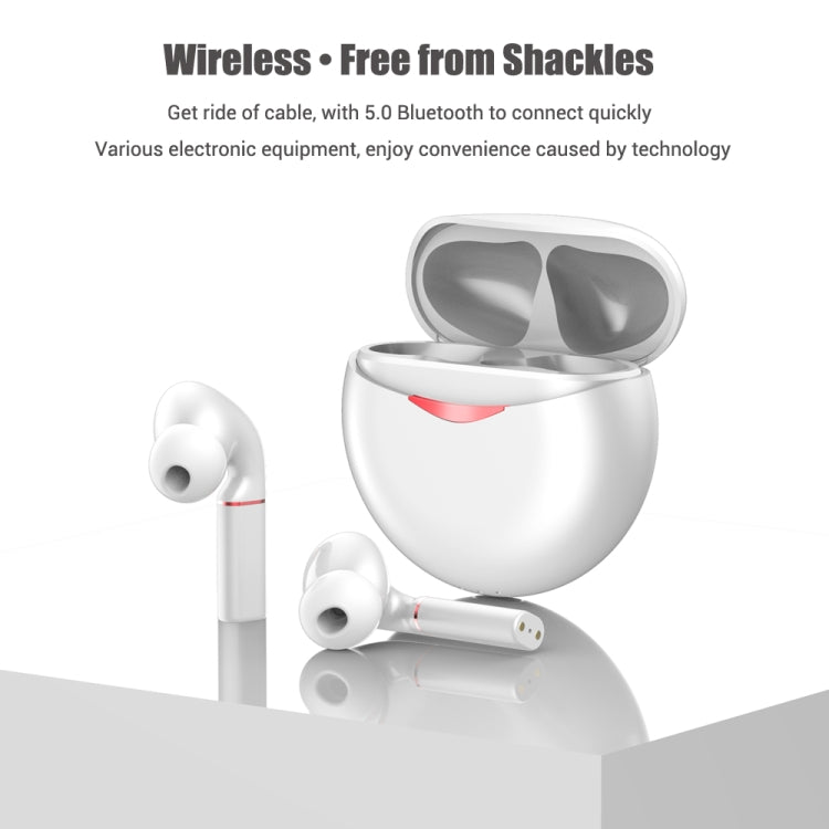 T&G T50 Sport TWS Bluetooth Earphone HIFI Noise Canceling Handfree Earbuds with Microphone(White) - Bluetooth Earphone by T&G | Online Shopping South Africa | PMC TechLife | Buy Now Pay Later Mobicred