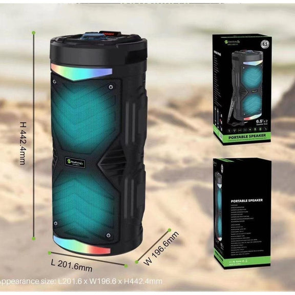 NewRixing NRG6601A Outdoor Portable Karaoke Wireless Speaker 20W Audio Amplifier With Mic(C)