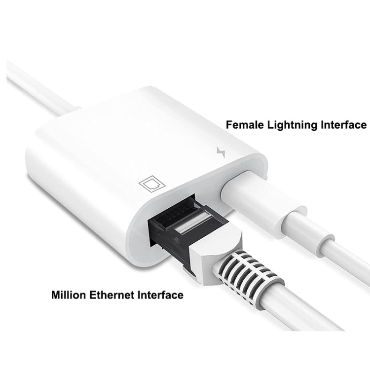 ENKAY Hat-Prince 2 in 1 8 Pin Male to Female 8 Pin + RJ45 Ethernet LAN Network Adapter - Converter & Adapter by ENKAY | Online Shopping South Africa | PMC TechLife | Buy Now Pay Later Mobicred