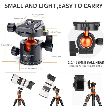 K&F CONCEPT KF31.023V3 360 Degree Rotating Panoramic Metal Tripod Ball Head with 1/4 Inch Quick Release Plate - free shipping - PMC Jewellery - Order now!