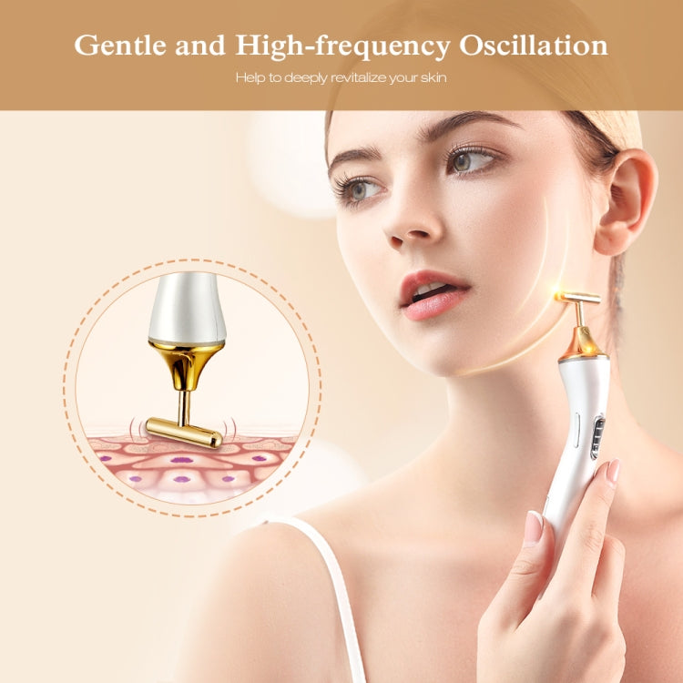 K-SKIN KD9060 Electric Facial Massager Skin Care Lifting Firming Portable Essence Absorption - free shipping - PMC TechLife - Order now!