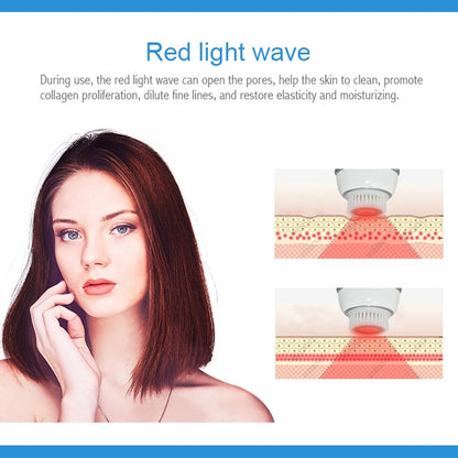 Duosi DY-103 USB Rechargeble Electric Facial Cleansing Brush Waterproof Face Deep Pore Cleaning Massager Exfoliator Oil Dirt Blackhead Remove - free shipping - PMC Jewellery - Order now!
