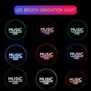 VJ033 Multi-function Upgrade Bluetooth 5.0 Headset Stereo Wireless LED Microphone FM Radio Headset(Gray)