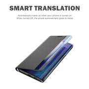 For Galaxy Note 10 Plus Plain Texture Cloth Attraction Flip Holder Leather Phone Case(Blue)