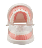 Orthodontic Appliance Silicone Simulation Braces Anti-molar Braces for Night(The first stage)