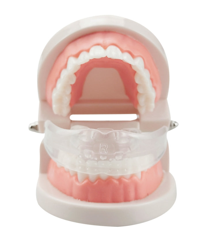 Orthodontic Appliance Silicone Simulation Braces Anti-molar Braces for Night(The first stage)