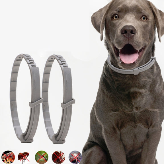 Pet Flea & Anti-Lice Collar Pet In Vitro Insect Repellent Ring, Size:Small Dog/38cm