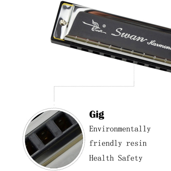 Swan 10 Holes Full-scale Bruce Harmonica Beginner Children Adult Students Playing Musical Instruments