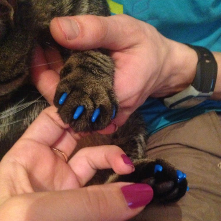 20 PCS Silicone Soft Cat Nail Caps / Cat Paw Claw / Pet Nail Protector/Cat Nail Cover, Size:XS(Black) - Protective & Protection by PMC TechLife | Online Shopping South Africa | PMC TechLife | Buy Now Pay Later Mobicred