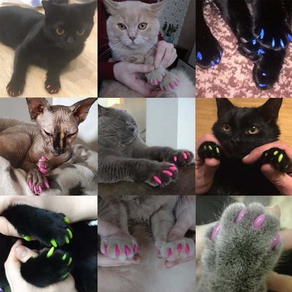 20 PCS Silicone Soft Cat Nail Caps / Cat Paw Claw / Pet Nail Protector/Cat Nail Cover, Size:XS(Orange)