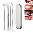 5 in 1 Silver Box Stainless Steel Dental Tools Dental Care Tartar Tool Dentist Tool Set - free shipping - PMC TechLife - Order now!