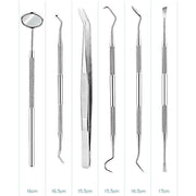 5 in 1 Silver Box Stainless Steel Dental Tools Dental Care Tartar Tool Dentist Tool Set