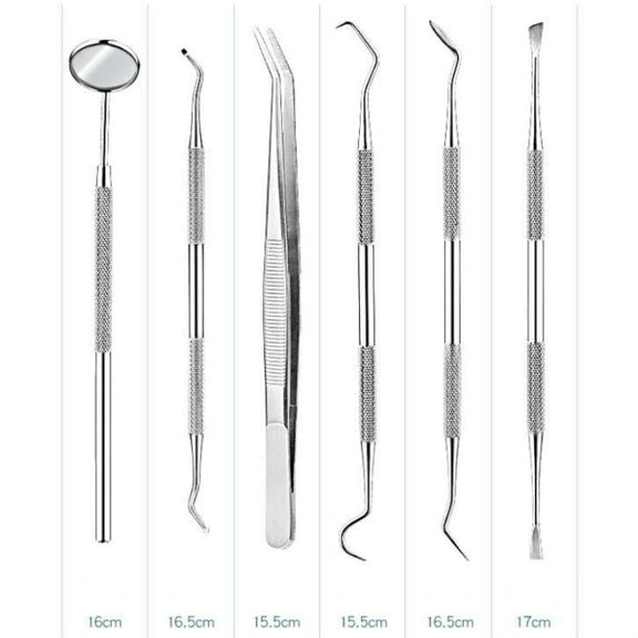 5 in 1 Silver Box Stainless Steel Dental Tools Dental Care Tartar Tool Dentist Tool Set