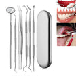 6 in 1 Silver Box Stainless Steel Dental Tools Dental Care Tartar Tool Dentist Tool Set - Dental Tools by PMC TechLife | Online Shopping South Africa | PMC TechLife