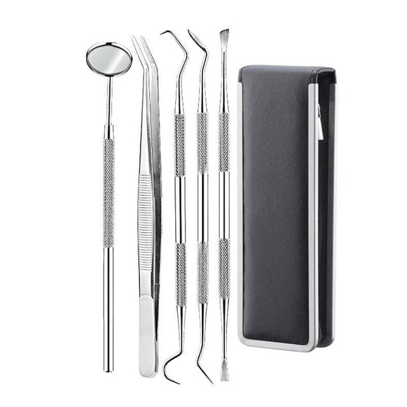 5 in 1 Steel Side Leather Case Stainless Steel Dental Tools Dental Care Tartar Tool Dentist Tool Set