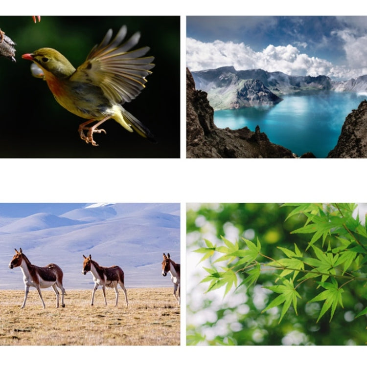 Children Single-Tube Small Astronomical Telescope High-Power High-Definition Science Education Toys - Monocular Binoculars by PMC TechLife | Online Shopping South Africa | PMC TechLife