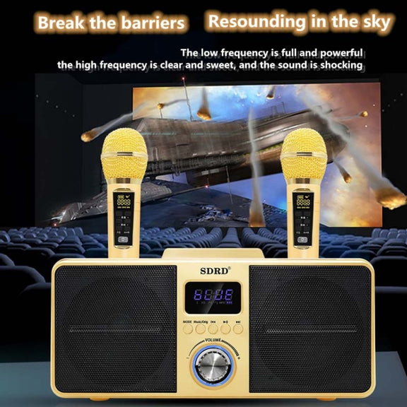 SDRD SD309 Wireless Microphone Bluetooth Audio All-In-One Machine(Black)