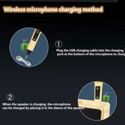 SDRD SD309 Wireless Microphone Bluetooth Audio All-In-One Machine(Black)