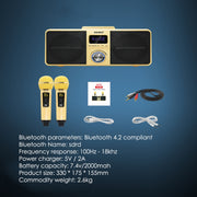 SDRD SD309 Wireless Microphone Bluetooth Audio All-In-One Machine(Black)