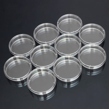 10 PCS Polystyrene Sterile Petri Dishes Bacteria Dish Laboratory Biological Scientific Lab Supplies, Size:60mm - free shipping - PMC Jewellery - Order now!