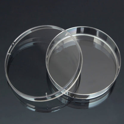 10 PCS Polystyrene Sterile Petri Dishes Bacteria Dish Laboratory Biological Scientific Lab Supplies, Size:60mm - free shipping - PMC Jewellery - Order now!