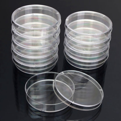 10 PCS Polystyrene Sterile Petri Dishes Bacteria Dish Laboratory Biological Scientific Lab Supplies, Size:60mm - free shipping - PMC Jewellery - Order now!