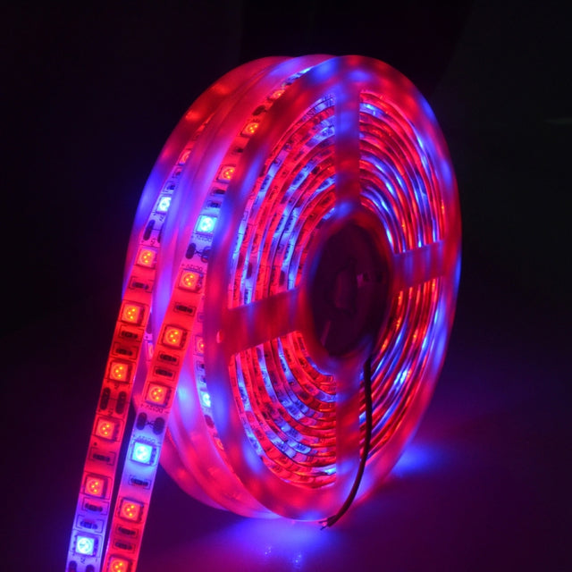 5m 300 LEDs SMD 5050 Full Spectrum LED Strip Light Fitolampy Grow Lights for Greenhouse Hydroponic Plant Water-resistant(5 Red 1 Blue)