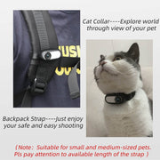 Sunnylife  IST-Q9335 Camera Strap Silicone Protective Cover Wristband Palm Backpack Bicycle Strap Cat Collar For Insta360 GO2(Black)