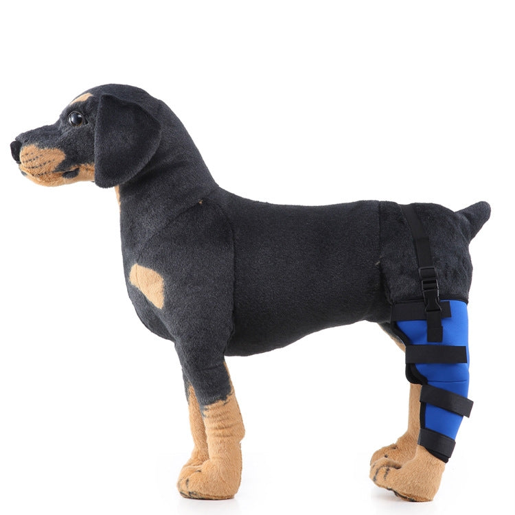 HJ19 Pet Surgery Rehabilitation Back Leg Protector Walking Aids, Size: M(Blue Left Back Leg) - Protector Walking Aids by PMC TechLife | Online Shopping South Africa | PMC TechLife | Buy Now Pay Later Mobicred