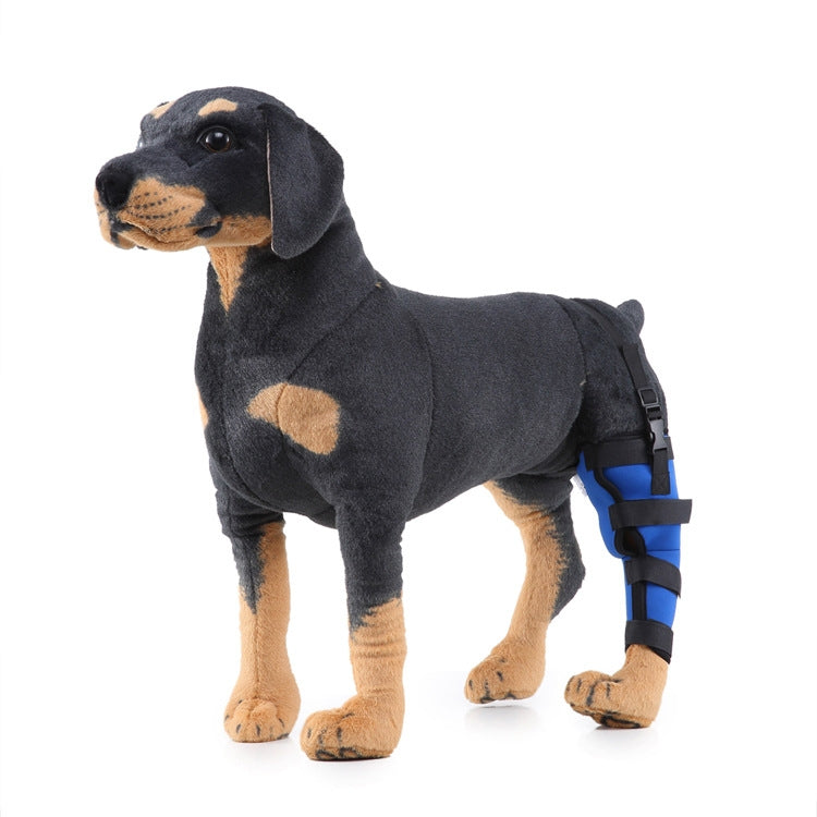 HJ19 Pet Surgery Rehabilitation Back Leg Protector Walking Aids, Size: M(Blue Left Back Leg) - Protector Walking Aids by PMC TechLife | Online Shopping South Africa | PMC TechLife | Buy Now Pay Later Mobicred