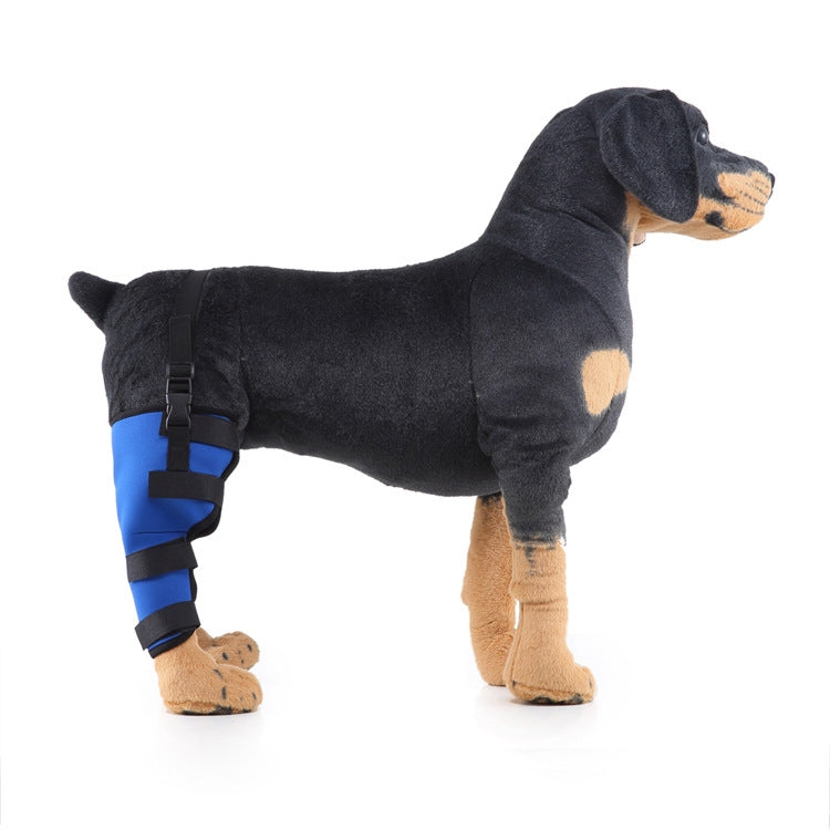 HJ19 Pet Surgery Rehabilitation Back Leg Protector Walking Aids, Size: M(Blue Right Back Leg) - Protector Walking Aids by PMC TechLife | Online Shopping South Africa | PMC TechLife | Buy Now Pay Later Mobicred