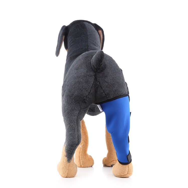 HJ19 Pet Surgery Rehabilitation Back Leg Protector Walking Aids, Size: M(Blue Right Back Leg) - Protector Walking Aids by PMC TechLife | Online Shopping South Africa | PMC TechLife | Buy Now Pay Later Mobicred