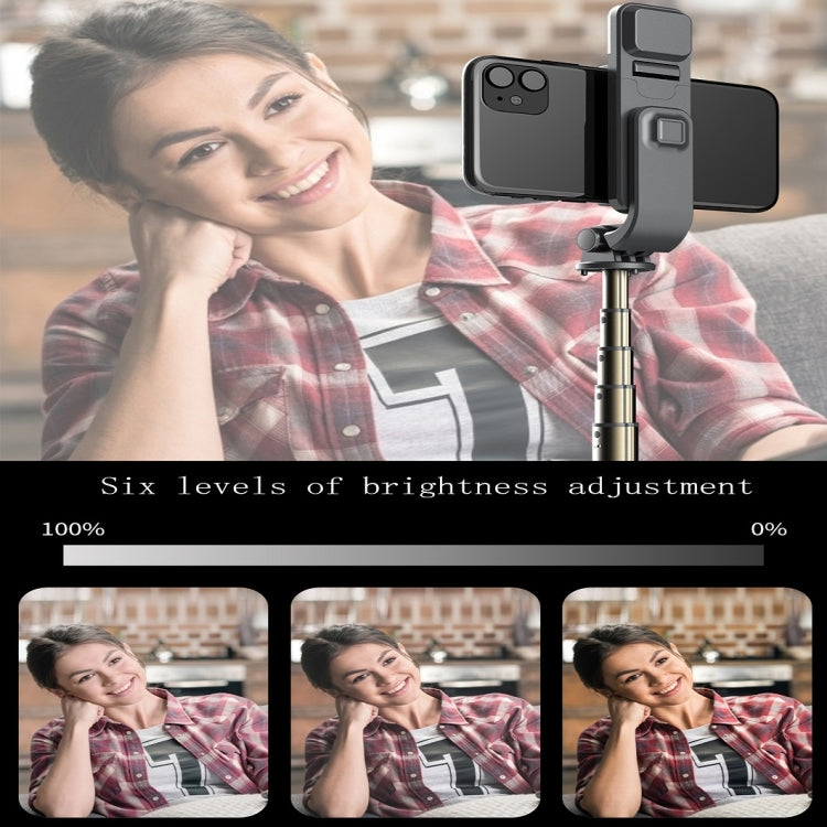 L03S Bluetooth Fill Light Tripod Integrated Selfie Stick(Black) - Selfie Sticks by PMC TechLife | Online Shopping South Africa | PMC TechLife | Buy Now Pay Later Mobicred